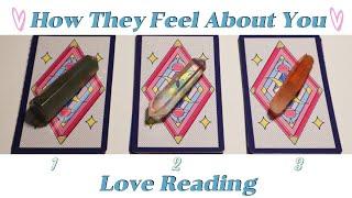 How The Person on Your Mind Feels About You? Pick a Card Reading