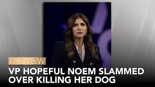 VP Hopeful Noem Slammed Over Dog Killing  The View