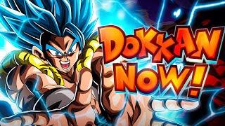 GLOBAL 9TH ANNIVERSARY DOKKAN NOW DBZ Dokkan Battle