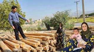 Purchase of timber by Parisa with the help of Agha Ali nomadic life documentary