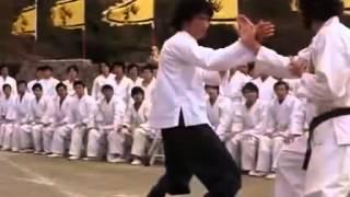 Bruce Lee vs Hoara