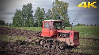 Легендарный гусеничный трактор ДТ-75 до сих пор пашет поля России