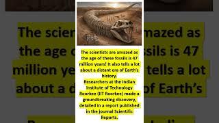 World Largest Snake. #vasuki indicus#ancienthistory #india# #mathematiquies #paleontology