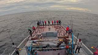 FISHING  TUNA  MALDIVES