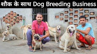 Shauk ke Saath Dog Farming Business Karata Yuva Kisaan  Labrador Kennel  Kennel Tour