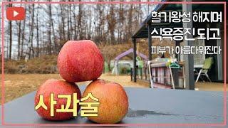 너무 쉬운 사과술 담그는 방법담금주