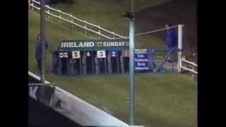 1998 Irish greyhound Derby winner Eyeman