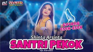 Shinta Arsinta - Santri Pekok  Dangdut Official Music Video