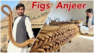 Afghanistan Dry fruits Anjeer  Dry Figs  New Crop 2023