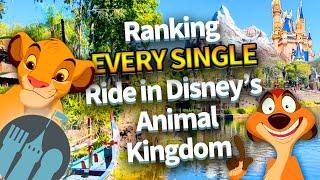 Ranking EVERY SINGLE Ride in Disney’s Animal Kingdom