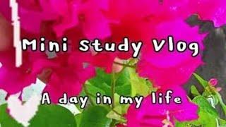 Mini study vlog A productive day in my life   #minivlog #studymotivation
