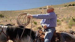 Cattle Work & Roping Some Missing Pieces of the Puzzle