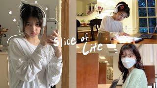 Slice of Life Uni Student Life Exam Study Vlog Lots of Cooking Being Busy