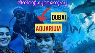 മീനിന്റെ കൂടെ മനുഷ്യനുംBest place to visit in Dubai  Dubai Aquarium  Marine Life Shark Diving