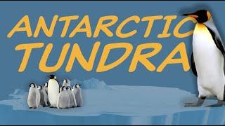 Explore the ANTARCTIC TUNDRA Biome  Nature Ecology & Environment