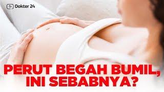 Dokter 24 - PENYEBAB PERUT BEGAH BUMIL  PENTING 