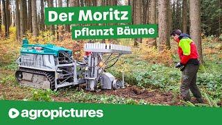 Bäume pflanzen mit der Forstraupe Moritz und dem Pfanzelt Plantomat  Pflanzmaschine zum Aufforsten