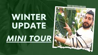  Plant Room Tour mini Surprises After 2.5 Weeks Away 