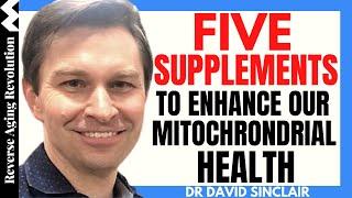 5 Supplements To Enhance Our Mitochondrial Health  Dr David Sinclair Interview Clips