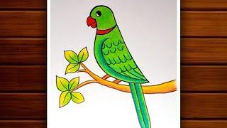 Parrot Drawing  How to Draw Parrot Step by Step for Beginners  Bird Drawing Colour.