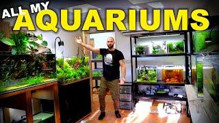 HUGE Fish Room Tour 49 Aquariums 2x Studios & Feeding must see  MD Fish Tanks