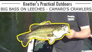 BIG BASS AND BLUEGILLS WITH LEECHES - CAMAROS CRAWLERS