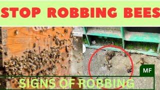 How to stop robbing bees  Signs of robbing #robbing #honeybees #fighting‎@Kashmiribeekeeper 