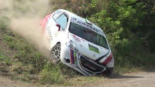 Rally Colli del Monferrato e del Moscato 2024 CRASHES & MISTAKES