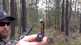 12 Gauge Shotgun Solid Vs Watermelon