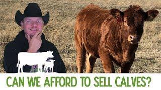 The Price of Calves and What To Do About It?