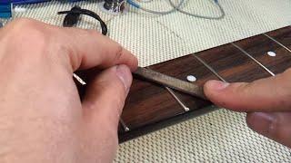 How to Set Up an Acoustic Bass Guitar