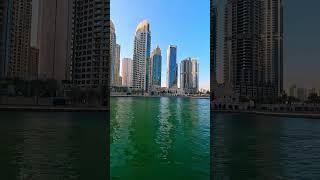 Beauty Of Dubai #shorts #dubai #luxury #dubaimarina