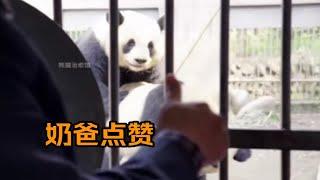 阳阳水秀都是第一次没经验失败告终，经过“猫片”学习后，第二次完美完成任务