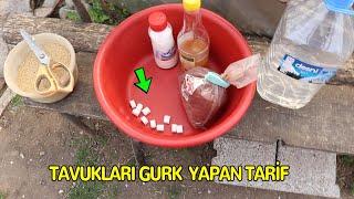 Tavukları Gurk Yapan Tarif - BAŞKA YERDE YOK