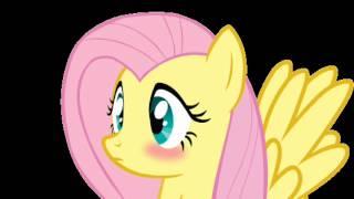 Fluttershys Wingboner