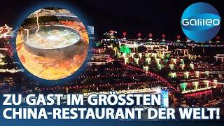 Hot-Pot-Wunderland Im Pipa Yuan schlemmen 6000 Gäste an über 1000 Tischen gleichzeitig