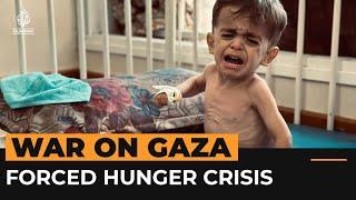 Extent of forced hunger crisis in Gaza revealed in UN report  Al Jazeera Newsfeed