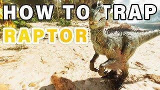 How to Trap AND Tame a Raptor ► Ark Survival Ascended