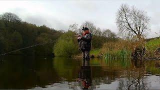 234. Catching Pennine Brown Trout - New Season - New Fly