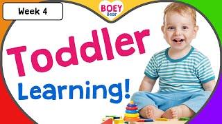 Educational Videos for Toddlers  2 year old 3 year old 4 year old Learning Videos with Boey Bear
