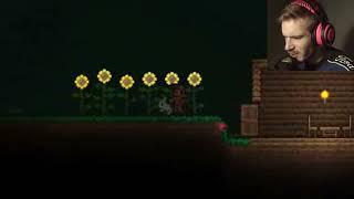 pewdiepie chasing bunny in terraria  hIlarious      #Shorts