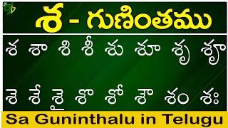 శ గుణింతం  Sa gunintham  How to write Telugu Sa guninthalu  Telugu varnamala Guninthamulu