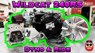 Wildcat 240RS Dyno & Ride  How Much Power Will It Make?