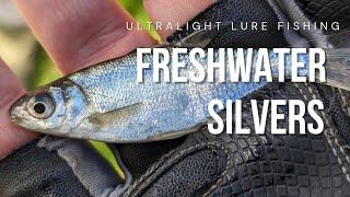 Ultralight Lure Fishing - Freshwater Silvers