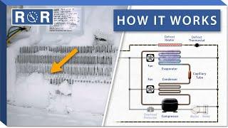 Refrigerator Defrost - How it Works  Repair & Replace