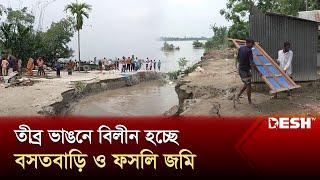 কমছে বন্যার পানি বাড়ছে নদী ভাঙনের ব্যাপকতা  Flood Update  News  Desh TV