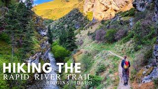 HIKING THE RAPID RIVER TRAIL  RIGGINS IDAHO  Payette National Forest