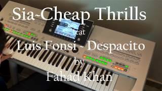 Fahad Khan  Sia - Cheap Thrills feat Luis Fonsi Despacito Accordion Cover