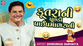 કૂતરાની પૂંછડી પાઈપમા ભરાવી - Dhirubhai Sarvaiya  New Gujarati Comedy 2023  Gujarati Jokes