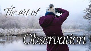 The Art of Observation in Photography